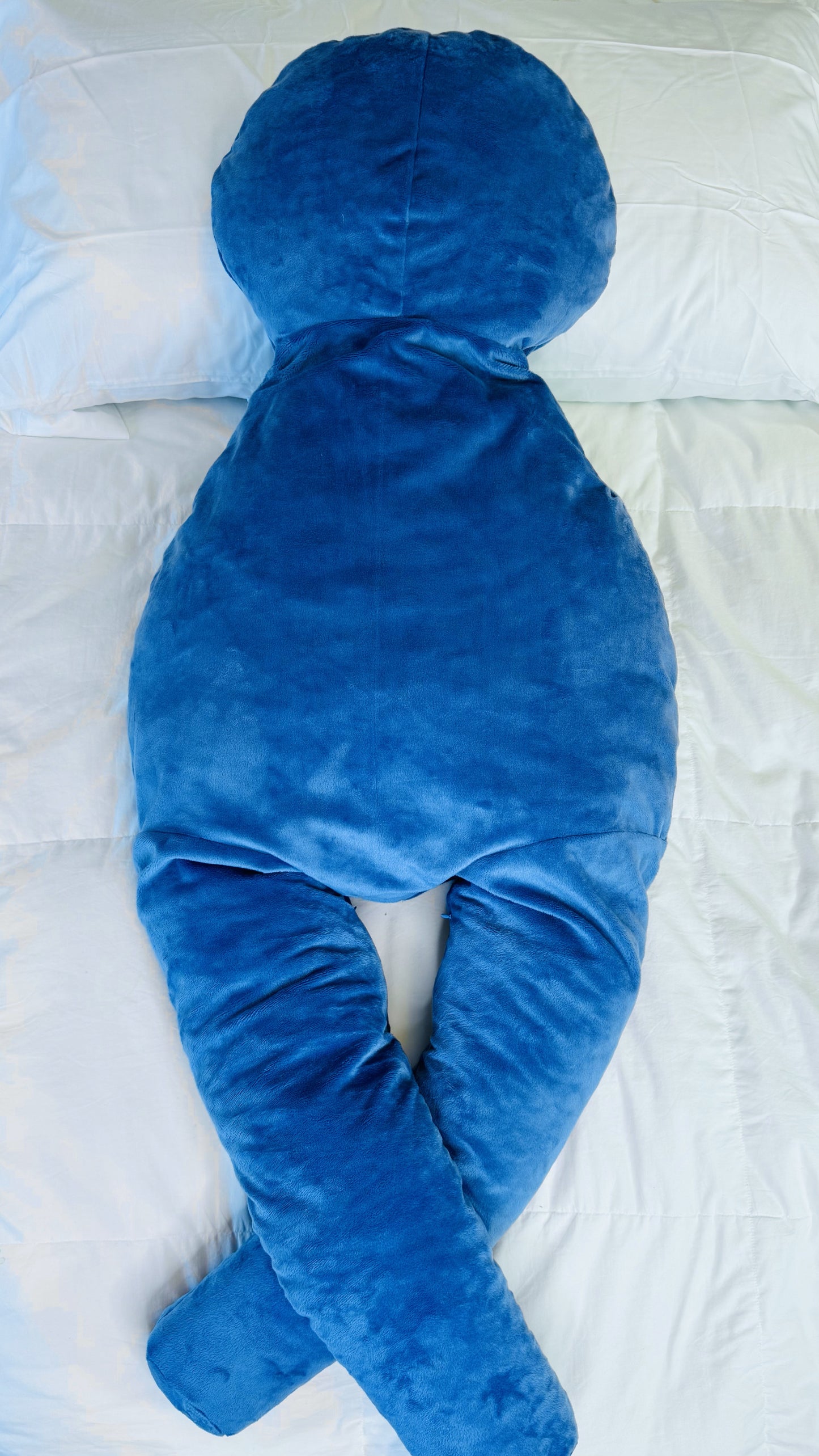 Khush Cushion